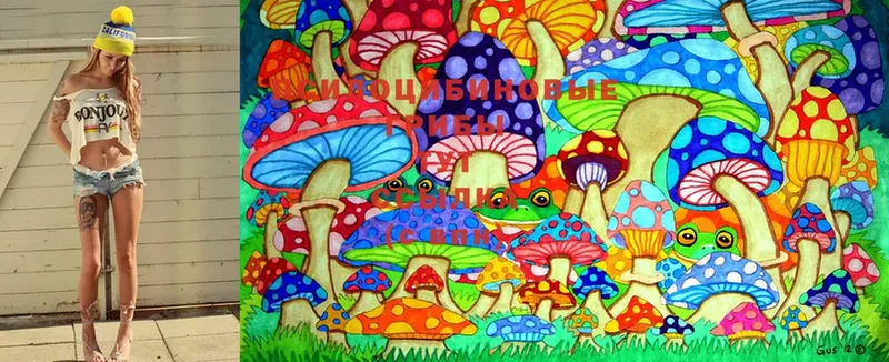 Псилоцибиновые грибы Magic Shrooms  OMG tor  Починок 